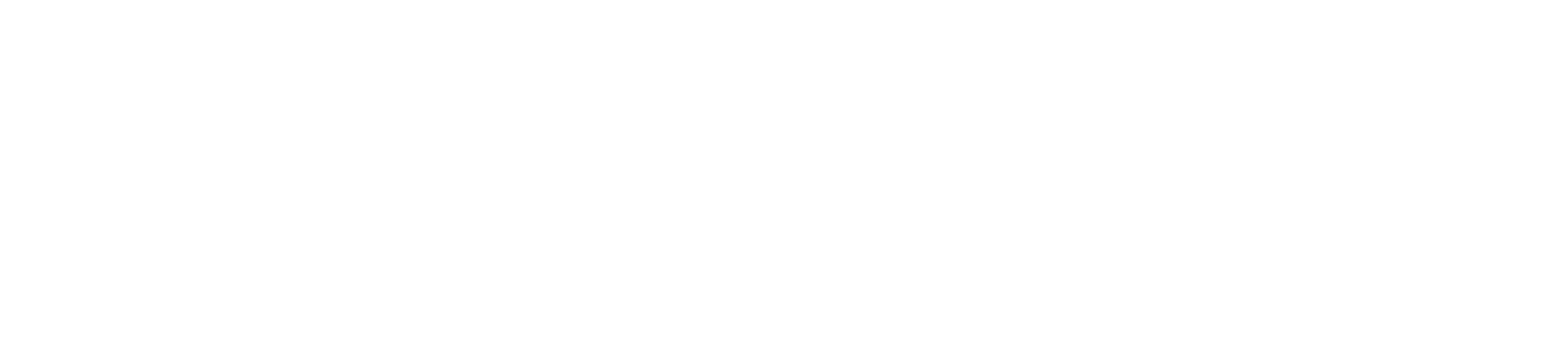Behandy logo blanc